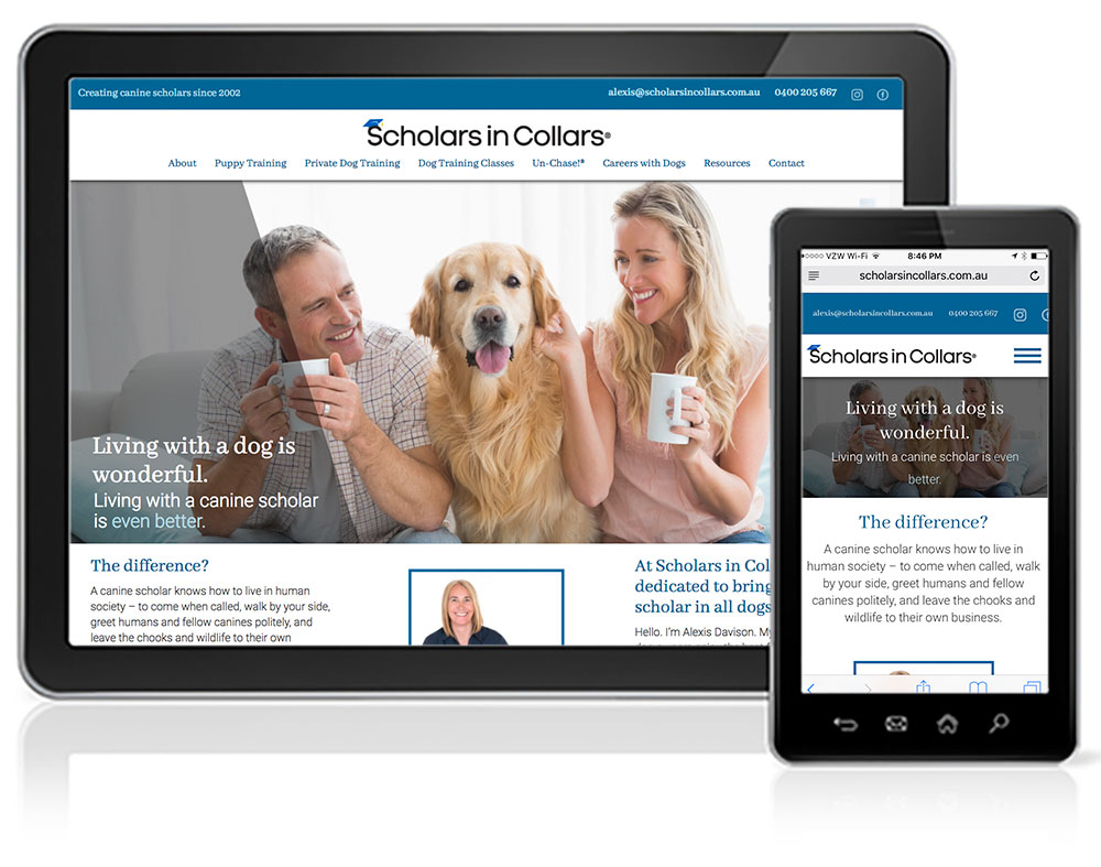 Open Project Scholars in Collars Phoenix Website Design