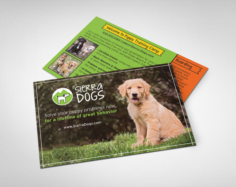 Puppy trainer postcard design