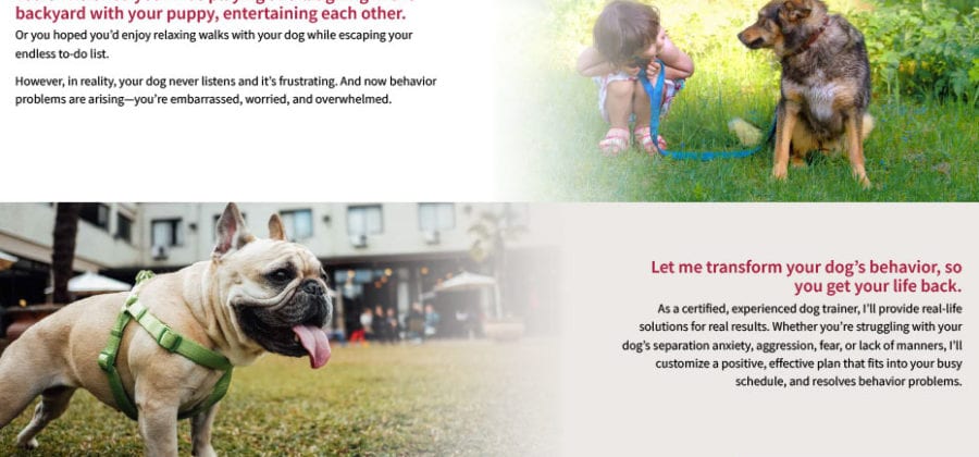 Dog training website design