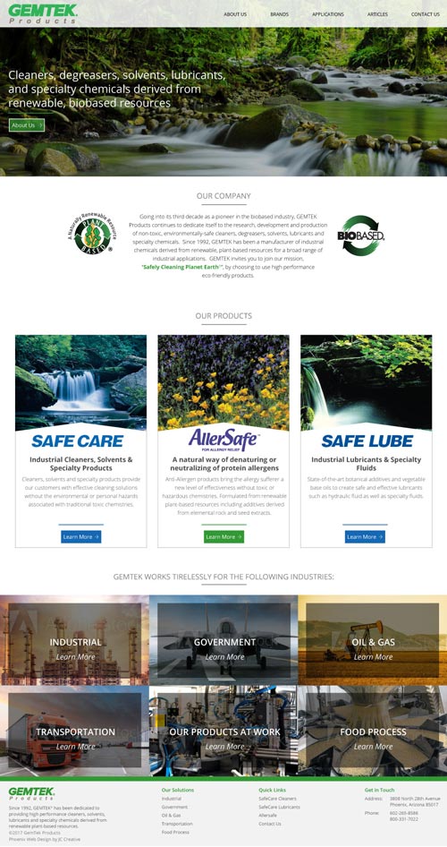 Chemical cleaning services Wordpress Website design