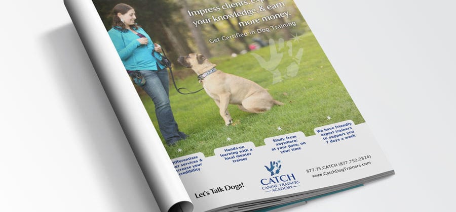 Dog training academy ad copy design
