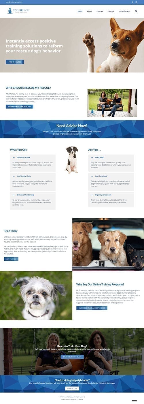 Dog training store ecommerce website design