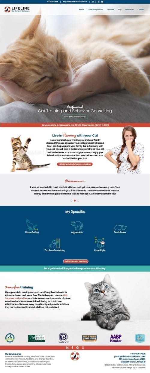 Cat training website design